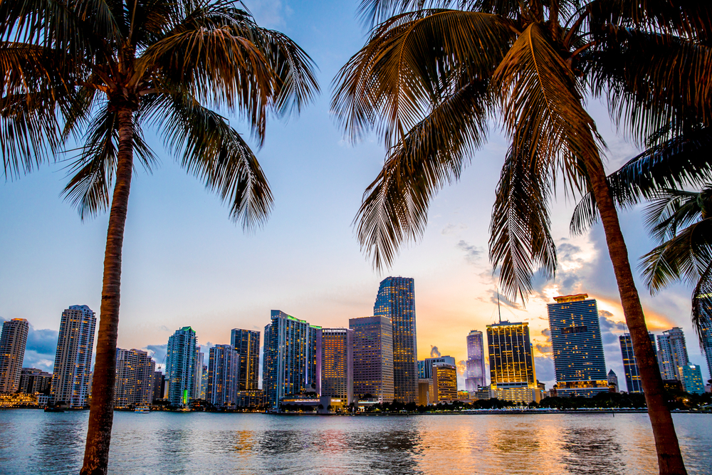Florida Title and Lien Searches